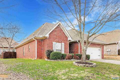 14335 Crooked Stick Place, Athens, AL 35613