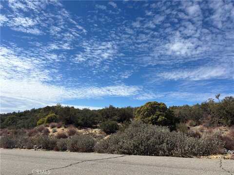 56857 Penny Lane Road, Anza, CA 92539