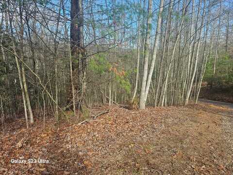 Antler Lane, Murphy, NC 28906