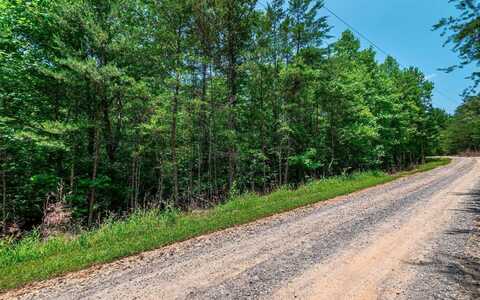 3.35 Pine Lane, Mineral Bluff, GA 30559