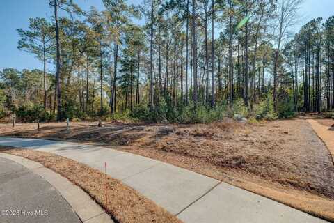 1628 Osprey Cv Court, Wilmington, NC 28401