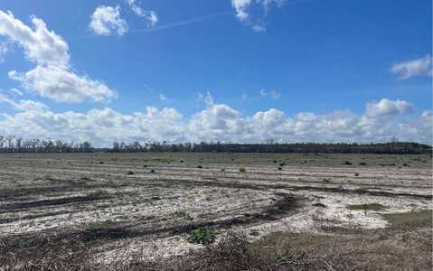 15 AC SW CR 351, Mayo, FL 32066