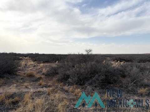 S&e Of 499 George Shoup Relief Route, Carlsbad, NM 88220