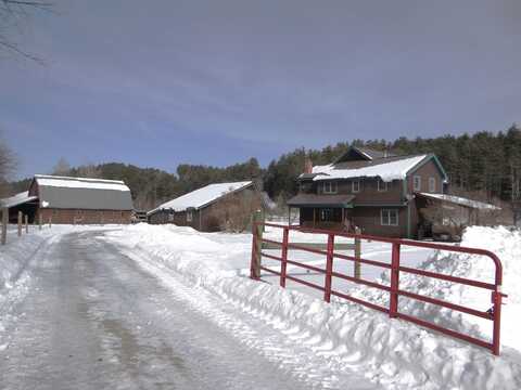 31 Palmer Road, Chester, VT 05143