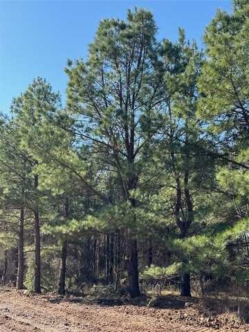 Lukfata Fork Trail, Broken Bow, OK 74728