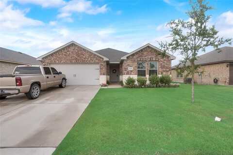 1413 Thunder Canyon Way, Josephine, TX 75189