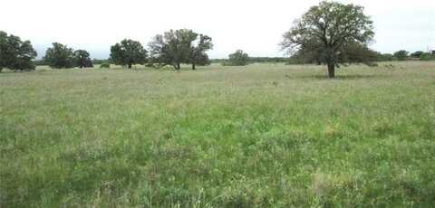 Tr 4 FM 2190, Jacksboro, TX 76458