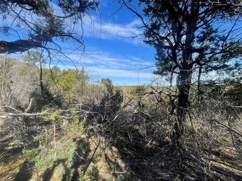 8533 Crichton Court, Cleburne, TX 76033