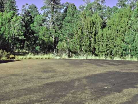 1526 Foxtail Ln, Heber, AZ 85928