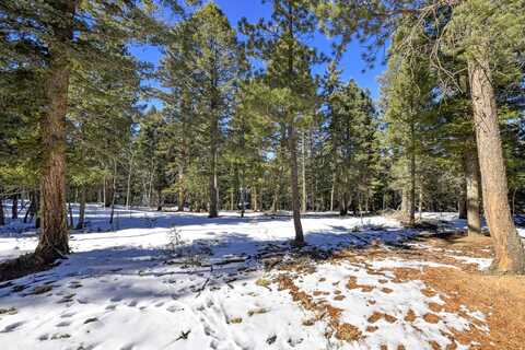 810 Ridge Road, Divide, CO 80814