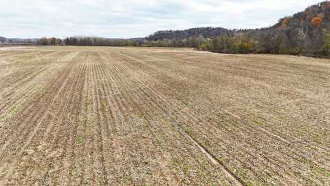 78.3 acres Pleasant Hill TWP, Pike County, IL, Pleasant Hill, IL 62366