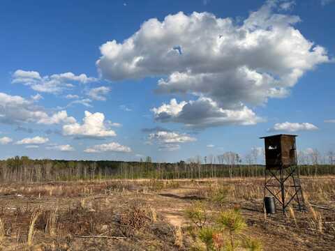 -- Goldmine Road, Greenwood, SC 29646