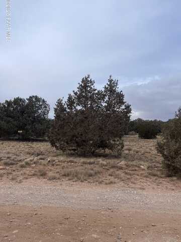 54372 ViA De Oro, Seligman, AZ 86337