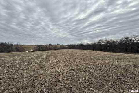 7.05 Acres Section 05 3S 5W, Liberty, IL 62347