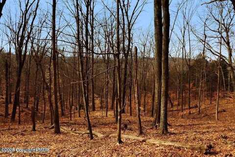 Katu Trail and Penn Forest, Albrightsville, PA 18210