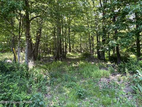 Lot 11 Dyson Road, Swiftwater, PA 18370