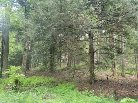 46 ONOCO Drive, Pocono Lake, PA 18347