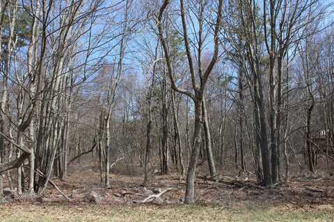 86 & 87 BUCK HILL Road, Blakeslee, PA 18610