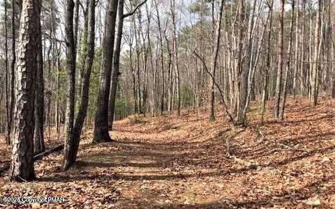 Spruce Lane, Albrightsville, PA 18210