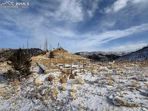 13831 S Highway 67, Woodland Park, CO 80863