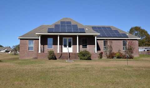 4 Persimmon Dr., Carriere, MS 39426