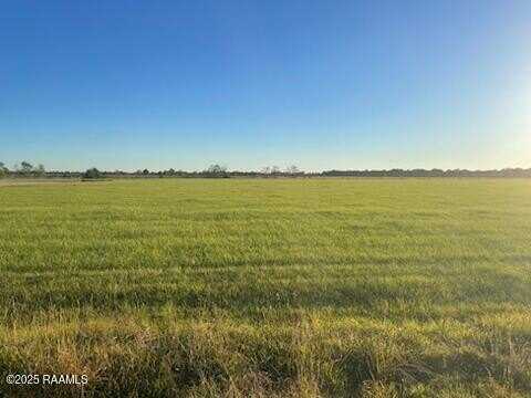 Tbd Johnson Road, Ville Platte, LA 70586