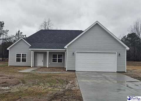 5301 Meadow Prong, Effingham, SC 29541