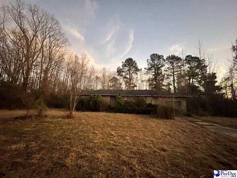 844 Henneghan Rd, Coward, SC 29530