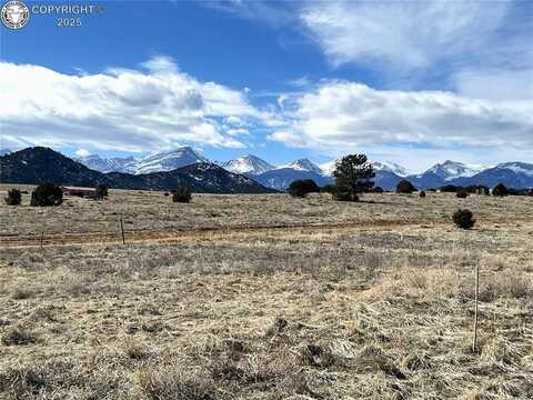 1925 R Path, Cotopaxi, CO 81223