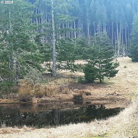 MELQUA RD, Umpqua, OR 97486