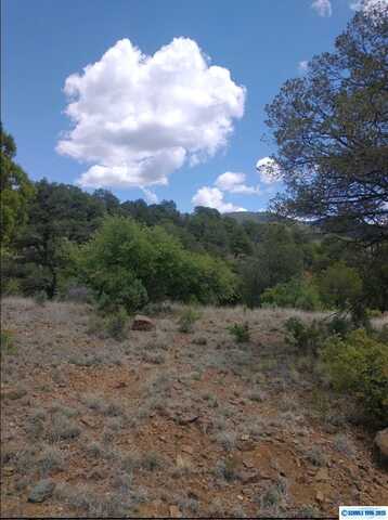 Cleveland Mine Road, Silver City, NM 88061