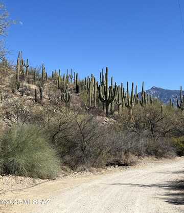 15175 E Rincon Creek Ranch Road, Tucson, AZ 85747