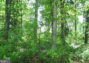 Lot 125 MAIN SAIL COURT, GREENBACKVILLE, VA 23356