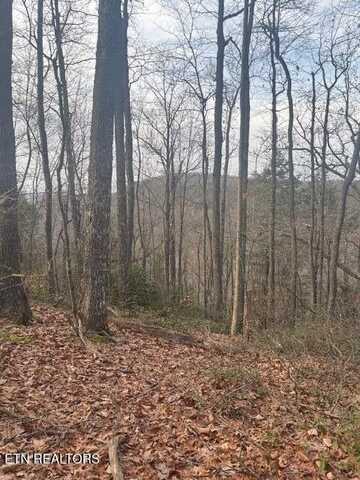 Lot 22 Davidson Dr, MONTEREY, TN 38574