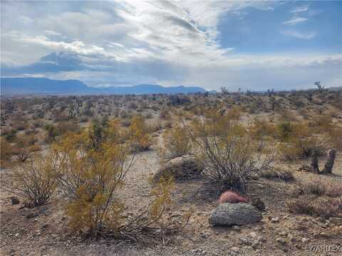 1090 W Phantom Creek Drive, Meadview, AZ 86444