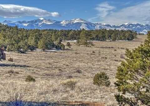 512 Iron Mountain Rd, Texas Creek, CO 81223