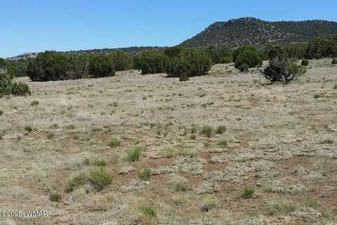 84 Co Rd 3035, Concho, AZ 85924