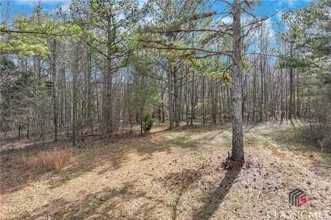 1423 Hargrove Lake Road, Winterville, GA 30683