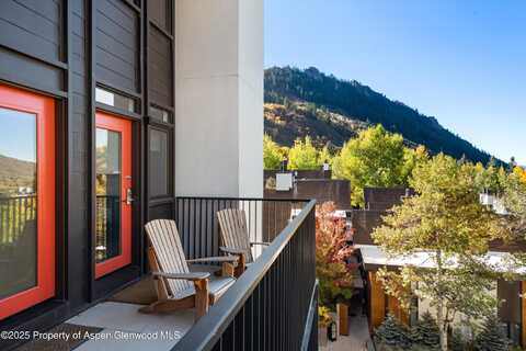 800 S Mill Street, Aspen, CO 81611