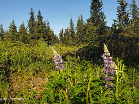 17438 Chefornak Street, Ninilchik, AK 99639