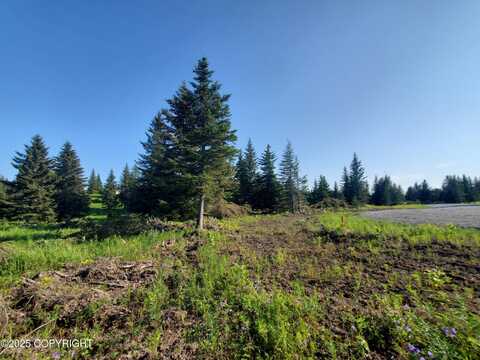 17436 Chefornak Street, Ninilchik, AK 99639