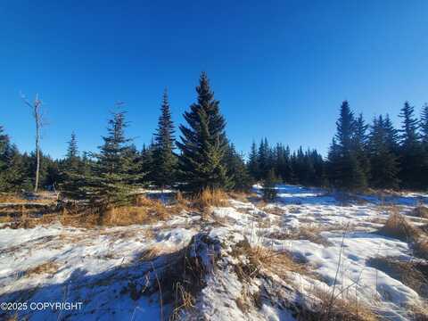 17436 Chefornak Street, Ninilchik, AK 99639