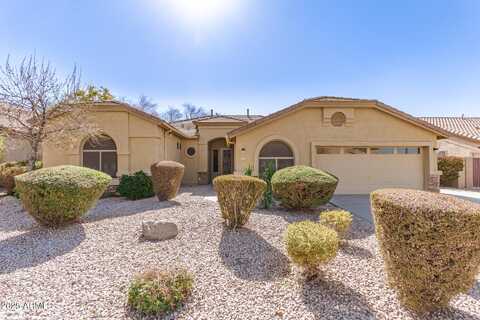 1357 E LOMA VISTA Street, Gilbert, AZ 85295