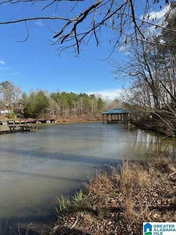 Lot 1 RIDGE DRIVE, SHELBY, AL 35143