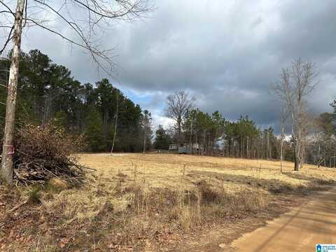 624 ROCKY VIEW ROAD, WEST BLOCTON, AL 35184