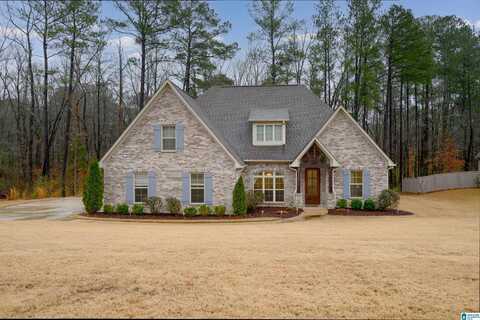 534 WILLOW BRANCH CIRCLE, CHELSEA, AL 35043