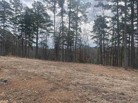 3970 Orchard Heights Drive, Conway, AR 72034