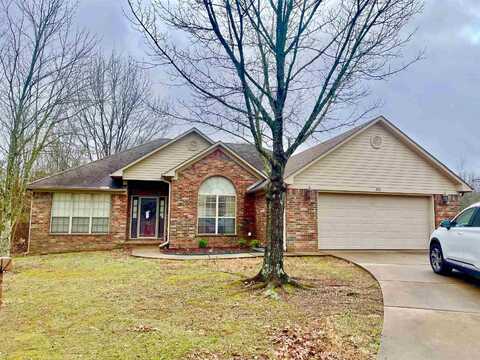 3081 NAPA VALLEY DRIVE, Conway, AR 72034