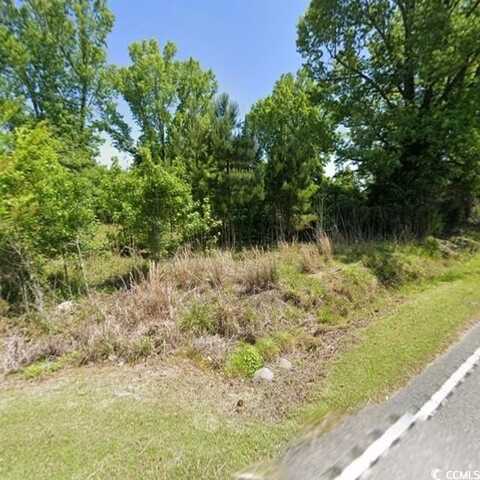 TBD Norton Rd., Green Sea, SC 29545