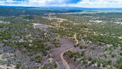 TBD Wild Turkey Canyon, Durango, CO 81301